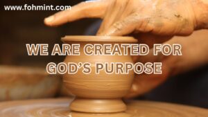 We are created for God’s Purpose