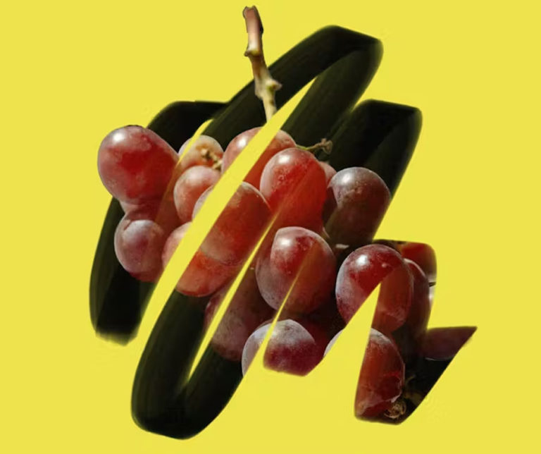 Fruit of the Spirit: Joy