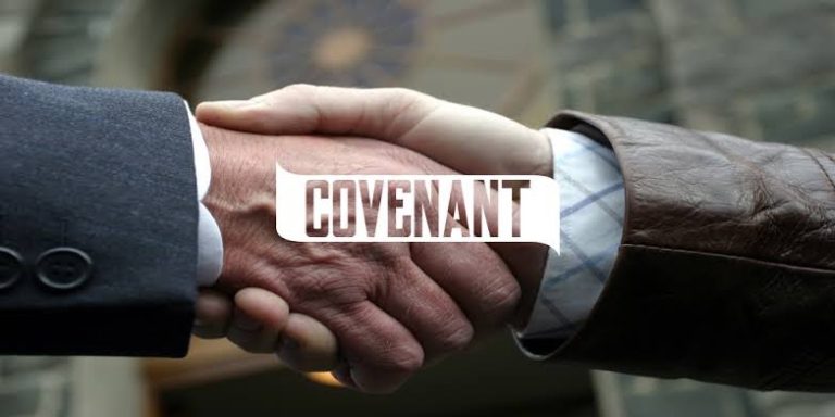 Understanding the covenants
