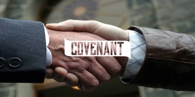 Understanding the covenants