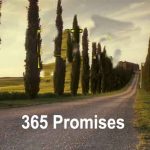 Promises