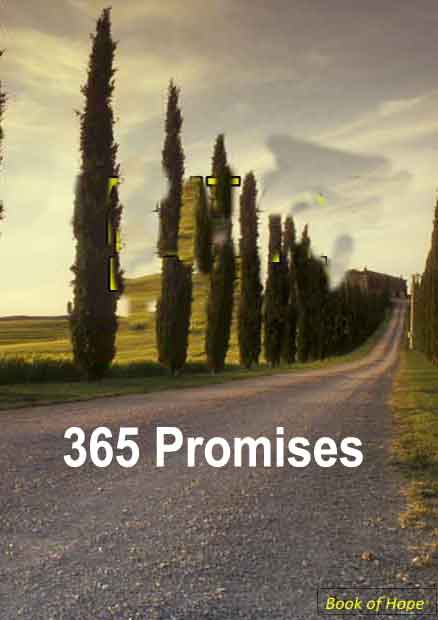 promise